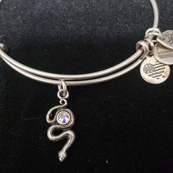 NWT Alex & Ani Rafaelian Silver Snake & Swarovski Crystal 2017 - Picture 2 of 13